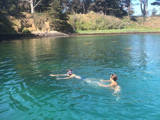 baignade à Bréhat
